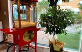 Туры в отель Kawaguchiko Villa FJ Resort