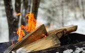 Туры в отель «Парк Север» эко-отель