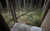Туры в отель «Парк Север» эко-отель