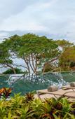 Туры в отель Dreams Bahia Mita Surf & Spa - All Inclusive