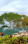 Туры в отель Dreams Bahia Mita Surf & Spa - All Inclusive
