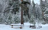Туры в отель «Ural Glamp» \/ «Урал Глэмп» глэмпинг