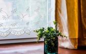 Туры в отель «Дом ВеАнСо» апартаменты
