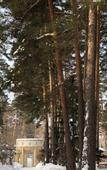 Туры в отель «Серебряный бор» санаторий