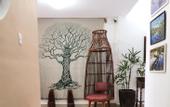 Туры в отель Hotel casa dos Frades