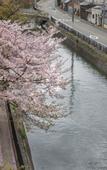 Туры в отель Tofukuji Riverside