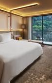 Туры в отель The Gaia Hotel Bandung