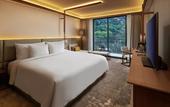 Туры в отель The Gaia Hotel Bandung