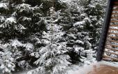Туры в отель «YETI VILLAGE» \/ «Йети Вилладж» коттедж