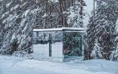Туры в отель «Truvor» \/ «Трувор» глэмпинг
