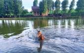 Туры в отель «Любимая усадьба» турбаза