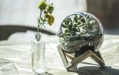 Туры в отель Four Elements Hotel Amsterdam
