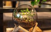 Туры в отель Four Elements Hotel Amsterdam