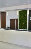 Туры в отель «Solo Hotel» \/ «Соло Отель» отель