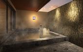 Туры в отель Dormy Inn Express Gotemba Hot Springs