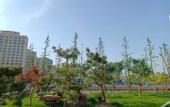 Туры в отель Mercure Jingjiang Incity Plaza