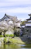 Туры в отель Cross Life Hakata Yanagibashi(ORIX HOTELS & RESORTS)