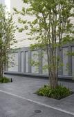 Туры в отель Cross Life Hakata Yanagibashi(ORIX HOTELS & RESORTS)