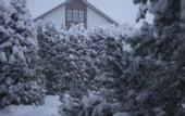 Туры в отель «Дони-парк» гостевой дом