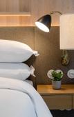 Туры в отель Browns Avenue Hotel