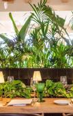 Туры в отель Browns Avenue Hotel