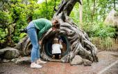 Туры в отель The Den, ‘s-Hertogenbosch, a Tribute Portfolio Hotel