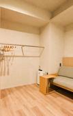 Туры в отель Randor Hotel Hiroshima Prestige