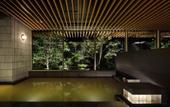 Туры в отель Sheraton Kagoshima