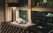 Туры в отель Pagoda SSAW Hotel  Bao'an Shenzhen
