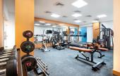 Туры в отель ExpoInn Suites and Convention
