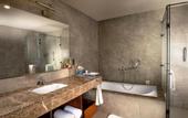 Туры в отель ExpoInn Suites and Convention
