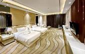 Туры в отель ST Hotel Wattay Airport