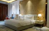 Туры в отель ST Hotel Wattay Airport