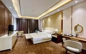 Туры в отель ST Hotel Wattay Airport