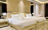 Туры в отель ST Hotel Wattay Airport