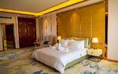 Туры в отель ST Hotel Wattay Airport