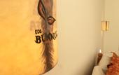 Туры в отель Eco Bunnu Inn