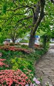 Туры в отель Comfort Resort Leura Gardens