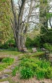 Туры в отель Comfort Resort Leura Gardens