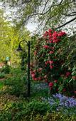 Туры в отель Comfort Resort Leura Gardens