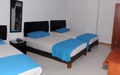 Туры в отель Hotel Villa Real