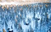 Туры в отель Arctic Skylight Lodge