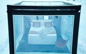 Туры в отель Arctic Skylight Lodge