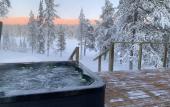 Туры в отель Arctic Skylight Lodge