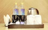 Туры в отель Hotel Natraj yes please New Delhi