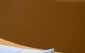 Туры в отель Willis Hotel Business & Wellness