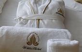 Туры в отель Willis Hotel Business & Wellness