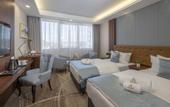 Туры в отель Willis Hotel Business & Wellness