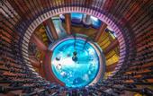 Туры в отель Willis Hotel Business & Wellness