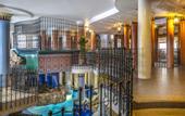 Туры в отель Willis Hotel Business & Wellness